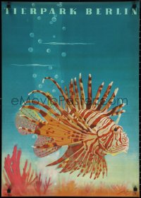 1z0128 TIERPARK BERLIN 23x32 East German special poster 1964 art of lionfish by Naumann!