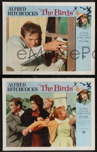 2b1428 BIRDS 6 LCs 1963 Alfred Hitchcock, Tippi Hedren, Rod Taylor, classic horror images!