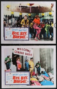 2b1440 BYE BYE BIRDIE 5 LCs 1963 cool images of sexy Ann-Margret, Jesse Pearson in title role!