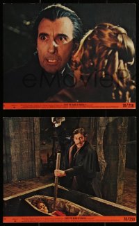 2f1733 TASTE THE BLOOD OF DRACULA 3 8x10 mini LCs 1970 Hammer horror, vampire Christopher Lee!