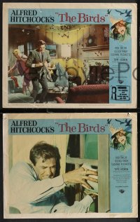 2f1063 BIRDS 3 LCs 1963 Alfred Hitchcock, Tippi Hedren, Rod Taylor, classic horror images!