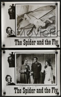 2f0920 SPIDER & THE FLY 8 photolobbies R1952 Eric Portman, Nadia Gray, Guy Rolfe, crime love triangle!