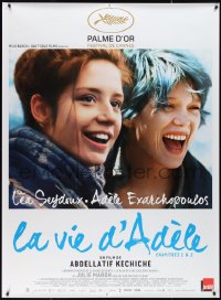 2g0117 BLUE IS THE WARMEST COLOR French 1p 2013 lesbians Lea Seydoux & Adele Exarchopoulos!