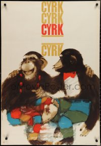 2g0684 CYRK Polish 27x39 1972 artwork of two chimps by Maciej Urbaniec!
