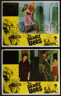 2j1646 DEADLY BEES 7 LCs 1967 hives of horror, fatal stings, great horror images!