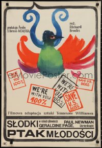 2k0499 SWEET BIRD OF YOUTH Polish 21x31 1967 Paul Newman, wild Hanna Bodnar art of strange bird!