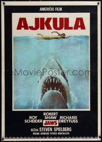 2k0242 JAWS Yugoslavian 20x28 1975 Spielberg's classic man-eating shark attacking swimmer, Ajkula!