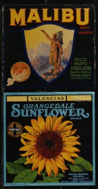 2m0501 LOT OF 2 CALIFORNIA BRAND ORANGES CRATE LABELS 1940s Malibu Valencias, Orangedale Sunflower!