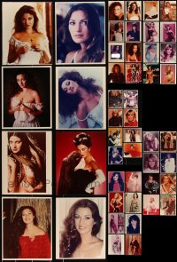 2m0755 LOT OF 48 SEXY ACTRESS COLOR REPRO PHOTOS 1980s portraits of beautiful women!
