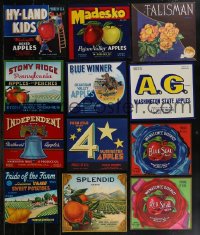2m0502 LOT OF 12 CRATE LABELS 1940s Hy-Land Kids apples, Madesko, Stony Ridge, Blue Seal & more!
