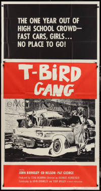 2p0478 T-BIRD GANG 3sh 1959 four guys and a girl in front of classic '50s Ford Thundebird, rare!