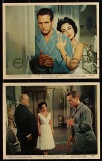 2t1744 CAT ON A HOT TIN ROOF 10 color 8x10 stills 1958 Elizabeth Taylor & Paul Newman, Burl Ives!