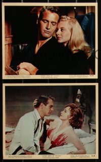 2t1734 SWEET BIRD OF YOUTH 12 color 8x10 stills 1962 Paul Newman, Geraldine Page, Tennessee Williams