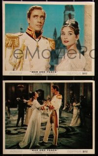 2t1767 WAR & PEACE 3 color 8x10 stills 1956 gorgeous Audrey Hepburn, Mel Ferrer, Leo Tolstoy!
