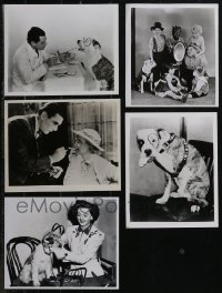 2x0735 LOT OF 5 REPRO PHOTOS 1980s Bette Davis, Our Gang, Pete the Pup, Myrna Loy & Asta the Dog!