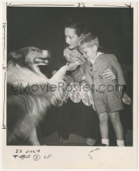 2y1799 DOROTHY LAMOUR deluxe 8x10 still 1949 introducing her son Ridgely to Lassie by Bob Beerman!