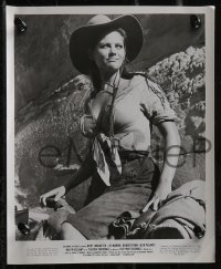 2y1938 CLAUDIA CARDINALE 33 from 7x9 to 8x10 stills 1960s wonderful portrait images of the star!