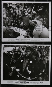 2y2053 CONQUEST OF THE PLANET OF THE APES 5 8x10 stills 1972 cool action scenes and more!