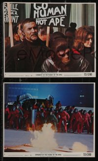 2y2016 CONQUEST OF THE PLANET OF THE APES 8 8x10 mini LCs 1972 Roddy McDowall, the revolt of the apes!
