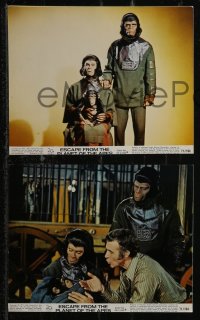 2y2004 ESCAPE FROM THE PLANET OF THE APES 9 color 8x10 stills 1971 Baby Milo has Washington terrified!
