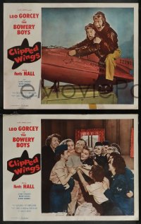 2y1395 CLIPPED WINGS 8 LCs 1953 great images of Leo Gorcey, Huntz Hall, Bowery Boys!