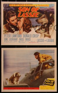2y1479 SON OF LASSIE 8 LCs 1945 Peter Lawford, June Lockhart, canine star Lassie & her puppy!