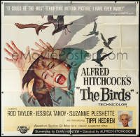 3d0384 BIRDS 6sh 1963 Alfred Hitchcock classic, Tippi Hedren, classic intense attack art, very rare!