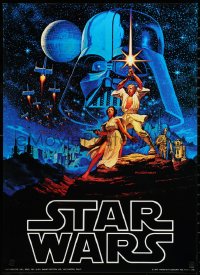 3d1622 STAR WARS 20x28 commercial poster 1977 George Lucas epic, Greg & Tim Hildebrandt art!