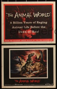 3d1029 ANIMAL WORLD 8 LCs 1956 great art of dinosaurs & jungle animals + special effects scenes!