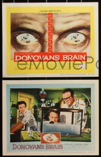 3d1065 DONOVAN'S BRAIN 8 LCs 1953 Lew Ayres, Steve Brodie, from the novel by Curt Siodmak, complete!