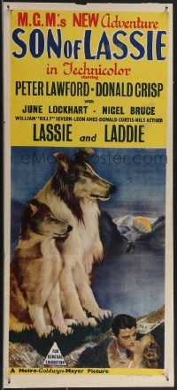 3f0577 SON OF LASSIE Aust daybill 1945 Lawford, art of the classic canine star & puppy, ultra rare!