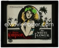 3f1300 WHITE FLOWER glass slide 1923 wonderful image of Hawaiian native Betty Compson by palm trees!
