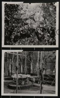 3f1432 TARZAN FINDS A SON 10 8x10 stills 1939 Richard Thorpe, all great jungle set reference photos!