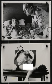 3f1466 THEY CAME FROM WITHIN 7 Dutch 8x10 stills 1976 David Cronenberg, sci-fi horror, Shivers!