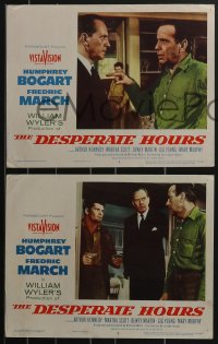 3f0816 DESPERATE HOURS 8 LCs 1955 Humphrey Bogart, Fredric March, Martha Scott, William Wyler!