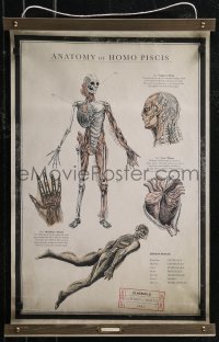 3f0078 SHAPE OF WATER 17x27 special poster 2017 anatomy chart of the Amphibian Man w/ special tube!