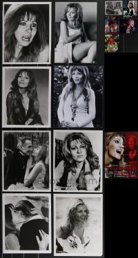 3h0408 LOT OF 13 INGRID PITT REPRO PHOTOS & 1 FOLDED POSTER 1980s-2000s great portraits of her!