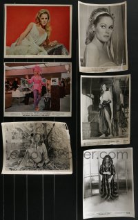 3h0563 LOT OF 6 URSULA ANDRESS COLOR & BLACK AND WHITE 8X10 STILLS 1960s great sexy portraits!