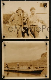 3p1796 TRADER HORN 6 8x10 stills 1931 W.S. Van Dyke, Edwina Booth, Carey, African warriors!