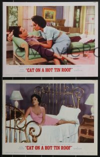 3p1531 CAT ON A HOT TIN ROOF 4 LCs R1966 Elizabeth Taylor as Maggie the Cat, Paul Newman, Ives!