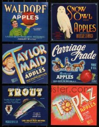 3s0256 LOT OF 6 APPLE CRATE LABELS 1930s-1950s great advertising images for fruit!