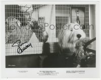 3x0582 TIM CONWAY signed 8x10.25 still 1976 great scene with dog in cage from The Shaggy D.A.!