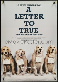 4c0679 LETTER TO TRUE Japanese 2005 Bruce Weber directed, great image of dog pack!