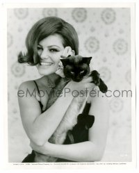 4f1296 CLAUDIA CARDINALE 8x10.25 still 1965 sexy smiling c/u with Siamese cat from Blindfold!