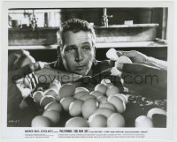 4f1301 COOL HAND LUKE 8.25x10 still 1967 best close up of Paul Newman in classic egg eating scene!