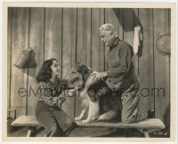 4f1303 COURAGE OF LASSIE 8x10 still 1946 young Elizabeth Taylor & Frank Morgan with the famous dog!