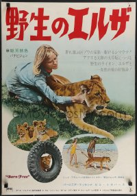 4g0665 BORN FREE Japanese 1966 great image of Virginia McKenna & Bill Travers with Elsa the lioness!