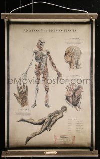 4j0059 SHAPE OF WATER 17x27 special poster 2017 anatomy chart of the Amphibian Man w/ special tube!