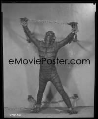 4m0435 REVENGE OF THE CREATURE camera original 8x10 negative 1955 Gill Man in chains & shackles!