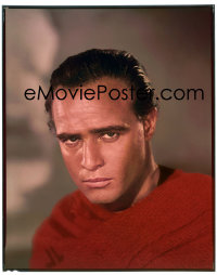 4m0189 ONE EYED JACKS 8x10 transparency 1961 head & shoulders portrait of tough Marlon Brando!